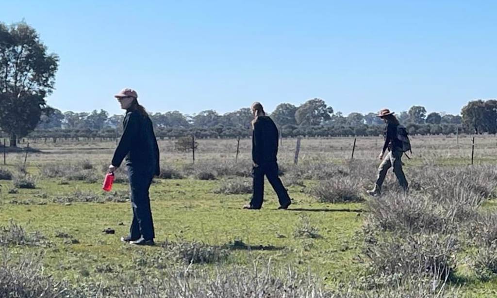 Desperate race to find extremely valuable treasure believed to be in a remote Australian&nbsp;paddock