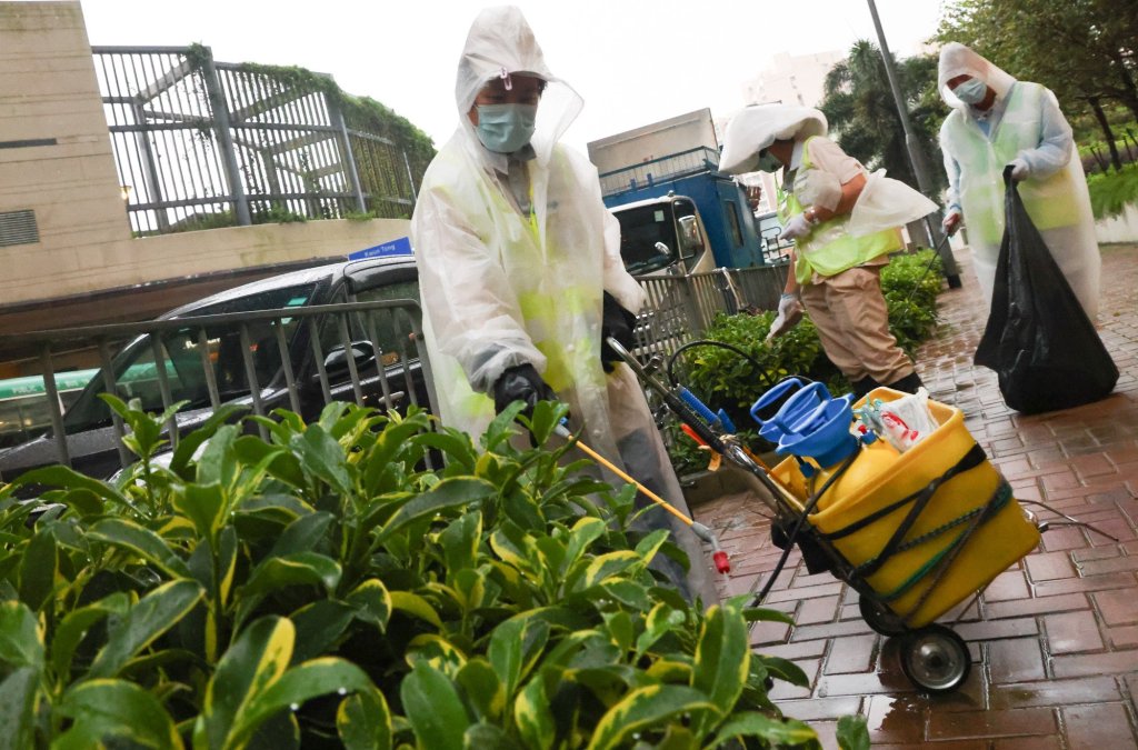 Rising Dengue Cases in Hong Kong Linked to Global Warming and Travel&nbsp;Surge