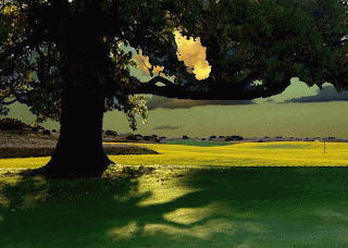 Do We Recognize the Emotional Ride of Social&nbsp;Media?