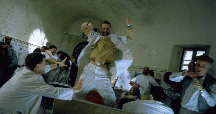 Twelve Monkeys Vanish from Strasbourg Research&nbsp;Facility