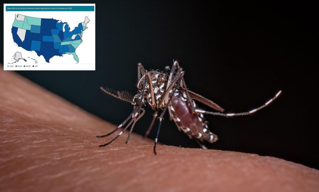 Expert Tips to Prevent Mosquito Bites as Deadly Diseases&nbsp;Rise