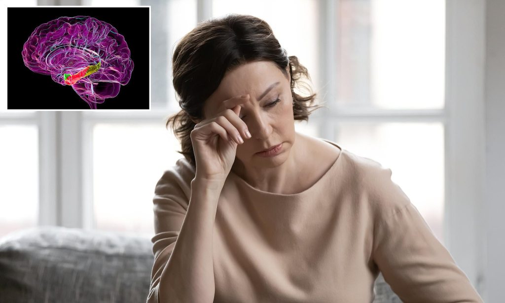 Scientists uncover brain’s key degenerating region in Alzheimer’s… opening doors to new&nbsp;treatments