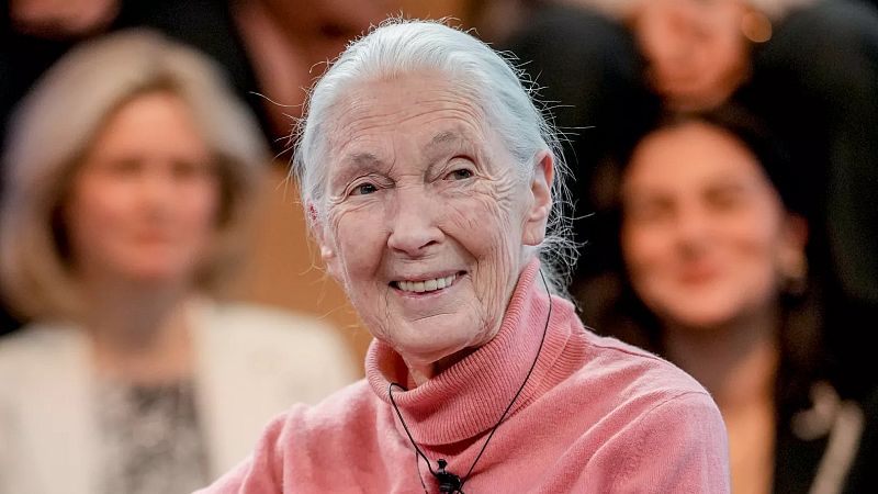Jane Goodall, Conservation Icon, Dies at&nbsp;91