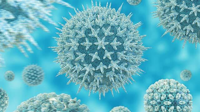 RSV Vaccine Safeguards Newborns from Severe&nbsp;Illness