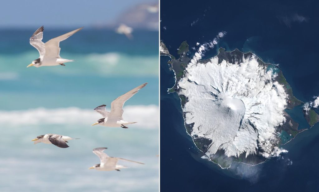 Deadly Outbreak Sparks Fears of Catastrophic Impact on Australian&nbsp;Island