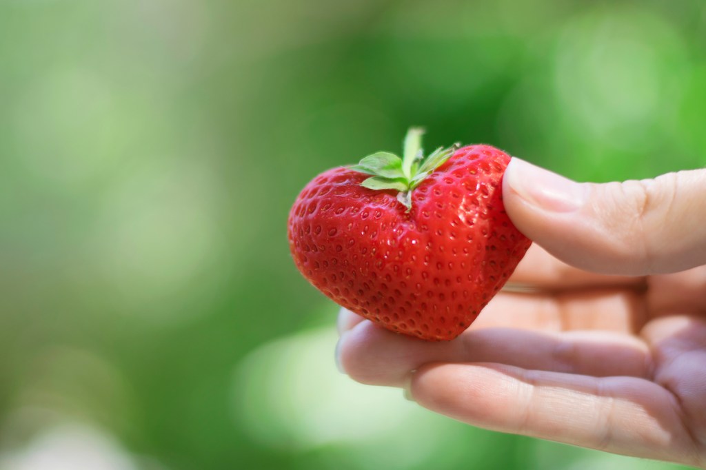 Farmers’ Diverse Reactions to End of Price&nbsp;Controls