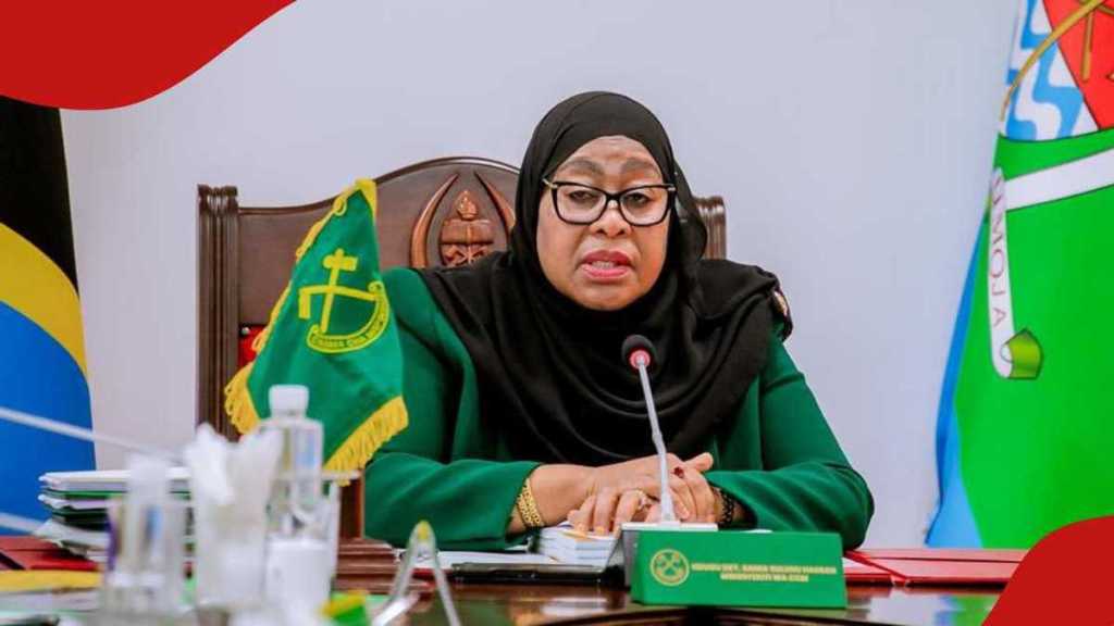 Samia Suluhu Condemns Violence Inciters, Warns of Foreign&nbsp;Protesters