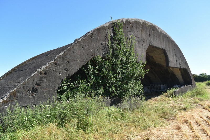 WWII Aircraft Bunkers in Western Japan: From Local Hate to Peace Fortress
