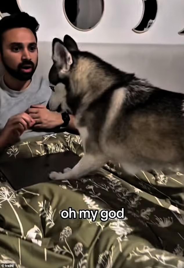 Can Your Dog Understand You? Tech Company Claims a&nbsp;Solution