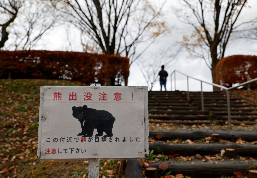 Japan Bear Intrusions Caused by Fruit, Not Hunger, Study&nbsp;Reveals
