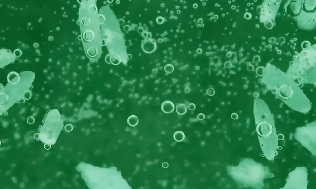 Man Loses Arm to Deadly Infection After Thumb&nbsp;Injury