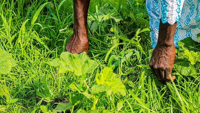 Tolashe delivers vital services to KZN’s most vulnerable&nbsp;communities