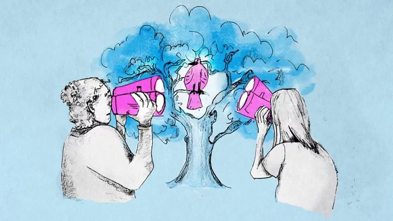Birdwatching Boosts Brain Health and Slows Mental Aging